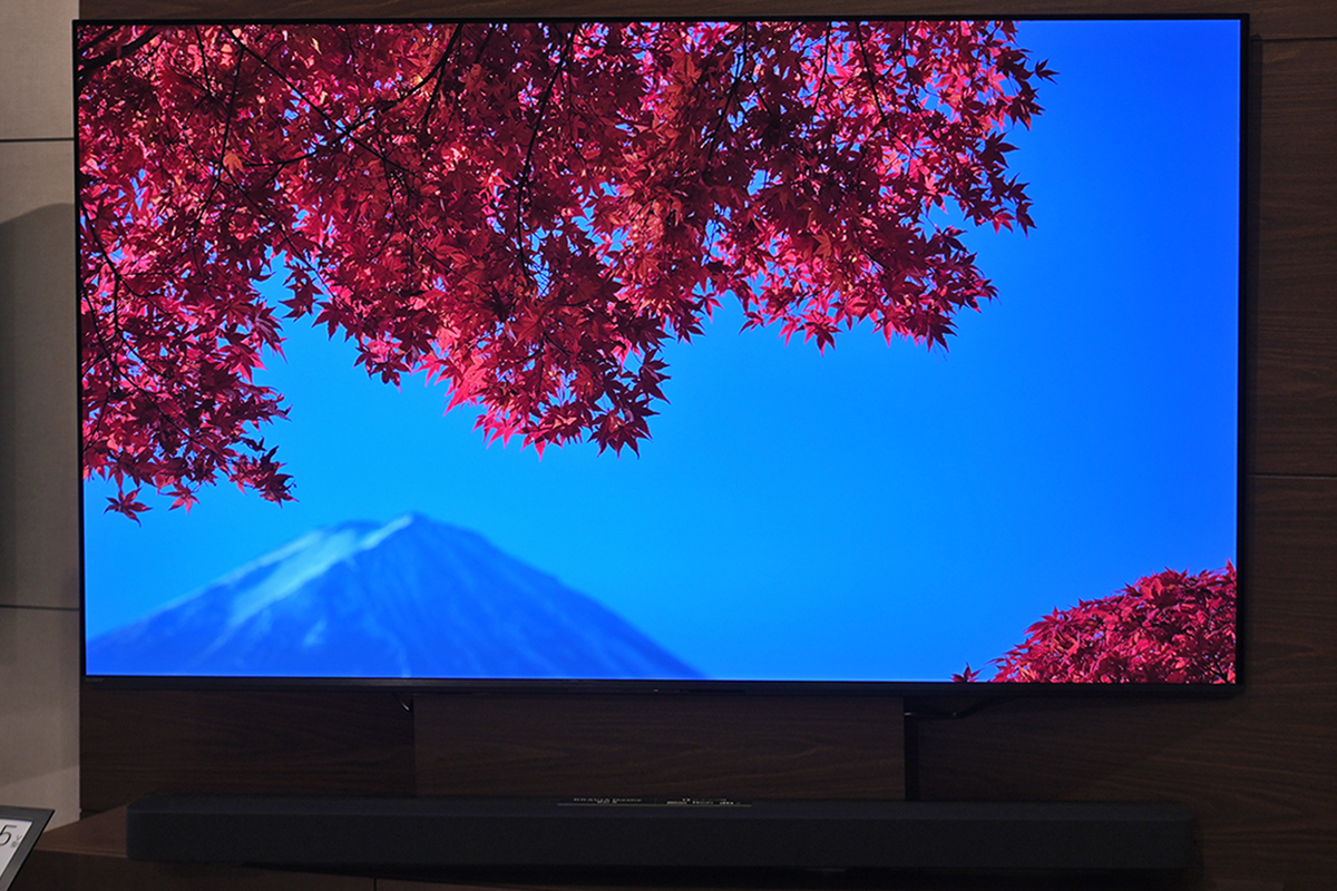 BRAVIA 8 II K-55XR80M2 色再現
