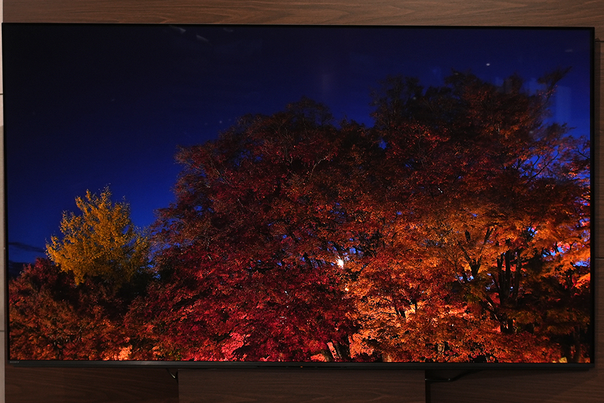 BRAVIA 8 II K-55XR80M2 暗部階調