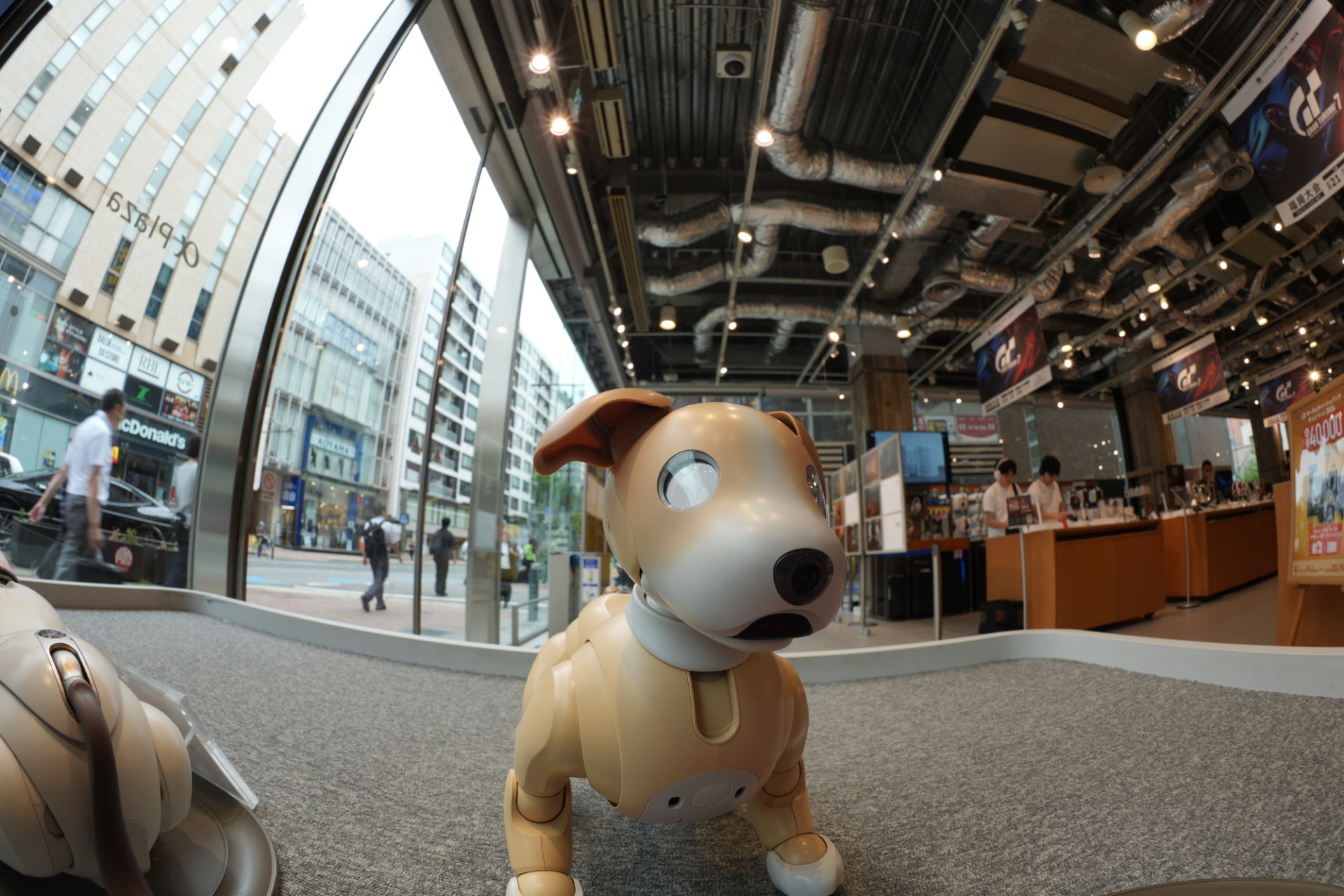 SEL814Gの13.5mmで寄って撮ったソニーストアのaibo