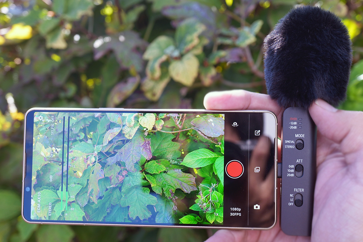 植え込みの前でECM-AX10を付けたXperia 1 VIIIで撮影中