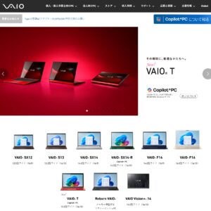 VAIO T