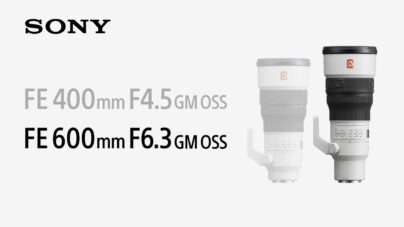 SEL600F63GM