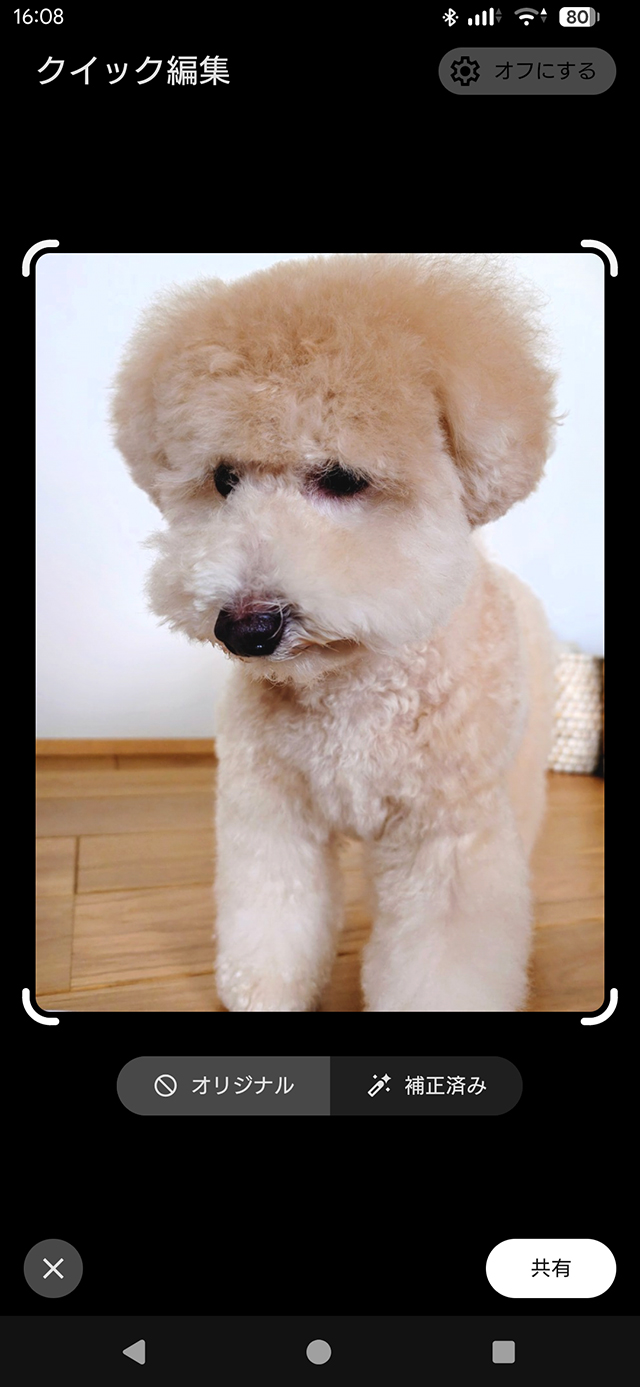 Googleフォトで写真を開いて共有する画面